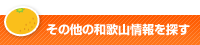 その他の和歌山情報