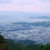 森林公園 雨の森