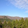 護摩壇山森林公園