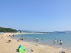 beach-ougigahama01