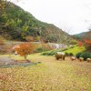 大滝川森林公園