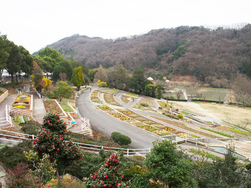 和歌山県植物公園 緑化センター 岩出市 公園 和歌山情報サイト ぐるわか