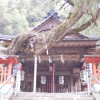 白岩丹生神社