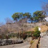 丹鶴城公園（新宮城跡）